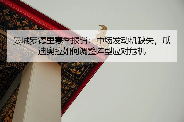 man-cheng-luo-de-li-sai-ji-bao-xiao-zhong-chang-fa-dong-ji-que-shi-gua-di-ao-la-ru-he-tiao-zheng-zhen-xing-ying-dui-wei-2-379.jpg