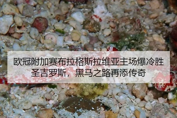 ou-guan-fu-jia-sai-bu-la-ge-si-la-wei-ya-zhu-chang-bao-leng-sheng-sheng-ji-luo-si-hei-ma-zhi-lu-zai-tian-chuan-qi-2-410.jpg