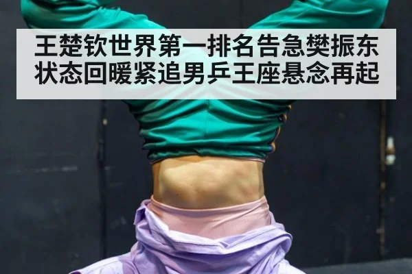 王楚钦世界第一排名告急樊振东状态回暖紧追男乒王座悬念再起