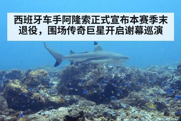 西班牙车手阿隆索正式宣布本赛季末退役，围场传奇巨星开启谢幕巡演