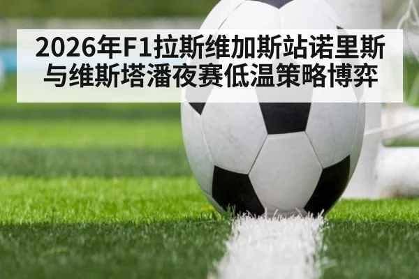 2026年F1拉斯维加斯站诺里斯与维斯塔潘夜赛低温策略博弈